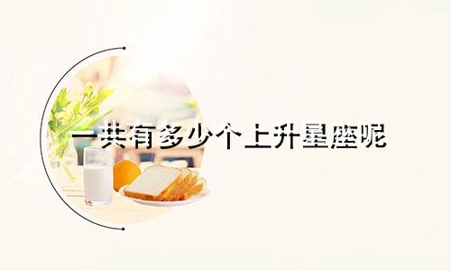 一共有多少个上升星座呢