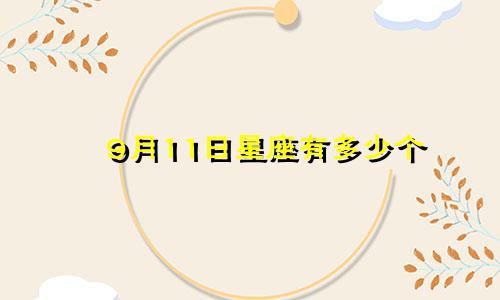 9月11日星座有多少个