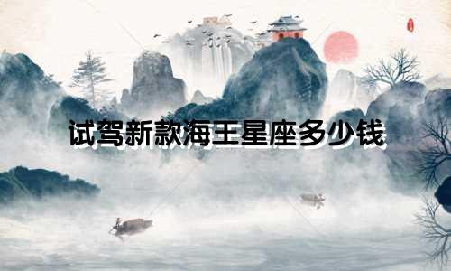 试驾新款海王星座多少钱