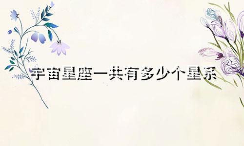 宇宙星座一共有多少个星系