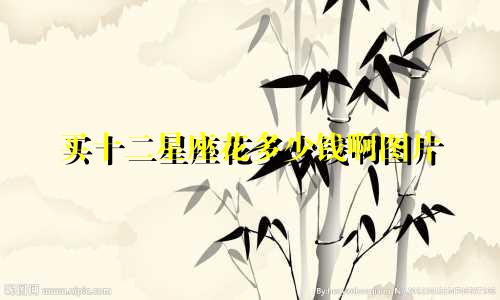 买十二星座花多少钱啊图片