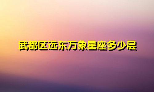 武都区远东万象星座多少层