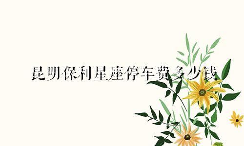 昆明保利星座停车费多少钱