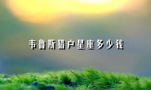 韦鲁斯猎户星座多少钱