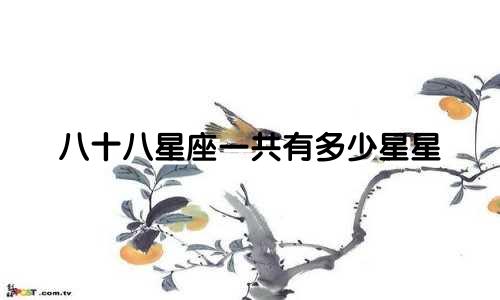 八十八星座一共有多少星星