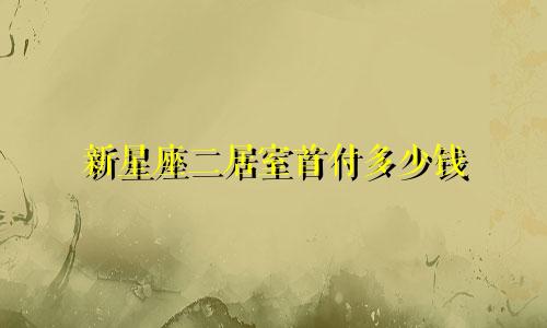 新星座二居室首付多少钱