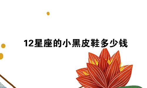 12星座的小黑皮鞋多少钱