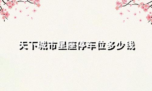 天下城市星座停车位多少钱