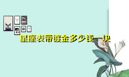 星座表带镀金多少钱一块
