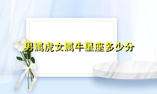 男属虎女属牛星座多少分