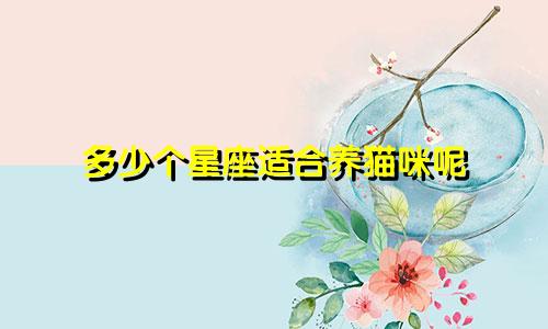 多少个星座适合养猫咪呢