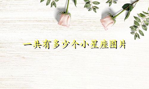 一共有多少个小星座图片