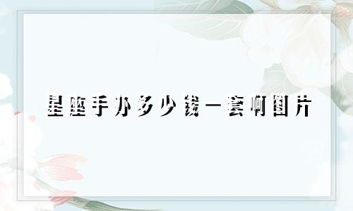 星座手办多少钱一套啊图片