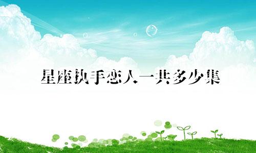 星座执手恋人一共多少集