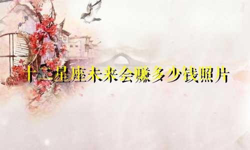 十二星座未来会赚多少钱照片