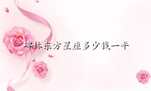 碑林东方星座多少钱一平