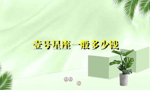 壹号星座一般多少钱
