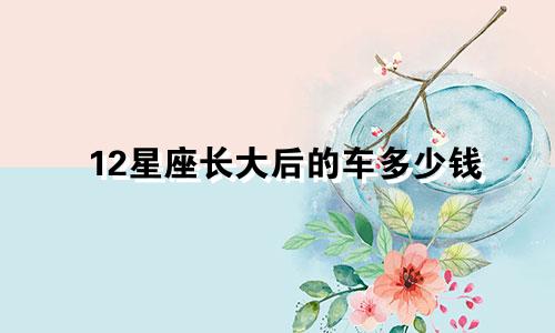 12星座长大后的车多少钱