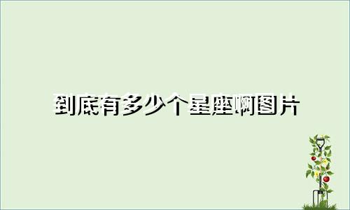 到底有多少个星座啊图片