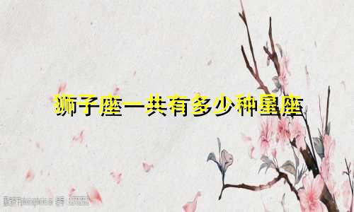 狮子座一共有多少种星座