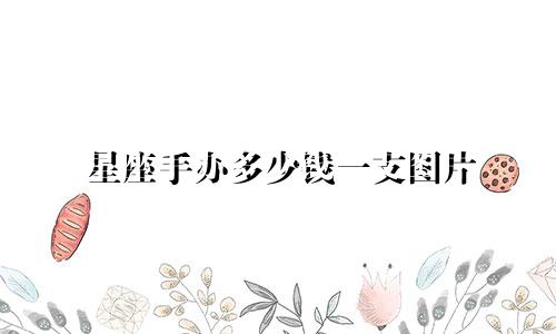 星座手办多少钱一支图片