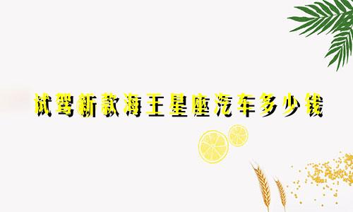 试驾新款海王星座汽车多少钱