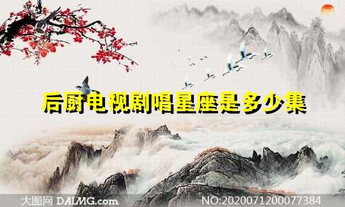 后厨电视剧唱星座是多少集