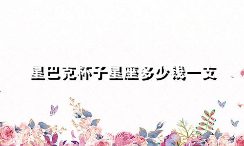 星巴克杯子星座多少钱一支