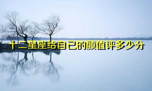 十二星座给自已的颜值评多少分