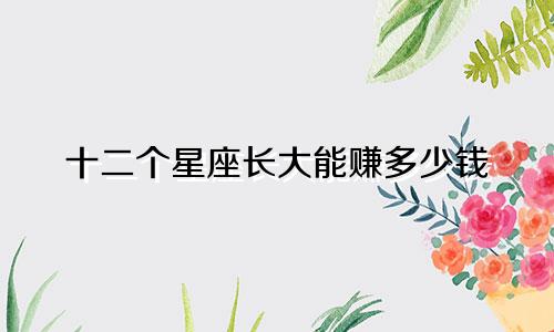 十二个星座长大能赚多少钱