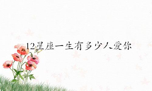 12星座一生有多少人爱你