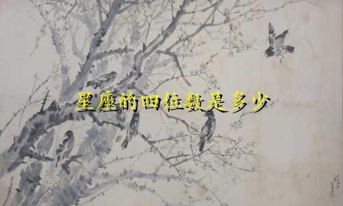 星座的四位数是多少