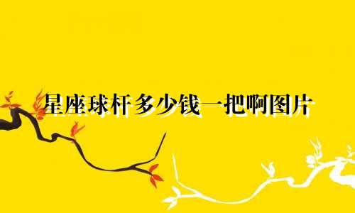 星座球杆多少钱一把啊图片