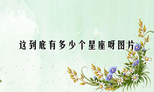 这到底有多少个星座呀图片