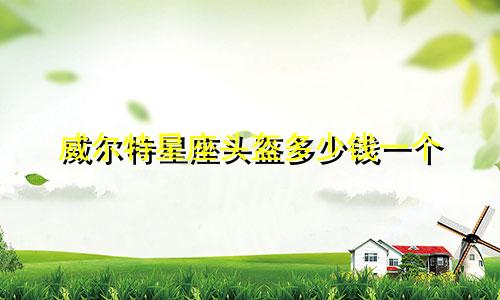 威尔特星座头盔多少钱一个