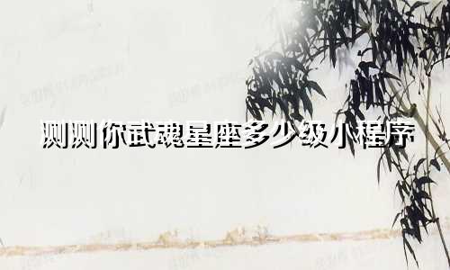 测测你武魂星座多少级小程序