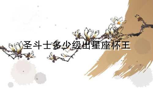 圣斗士多少级出星座杯王