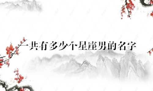 一共有多少个星座男的名字