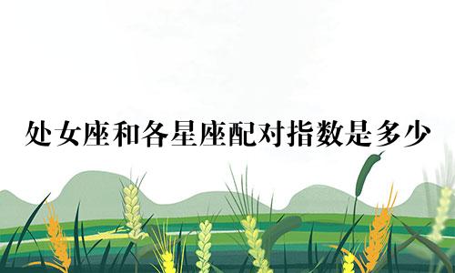 处女座和各星座配对指数是多少