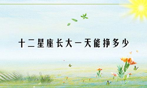 十二星座长大一天能挣多少