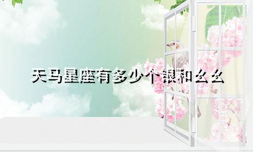 天马星座有多少个银和幺幺