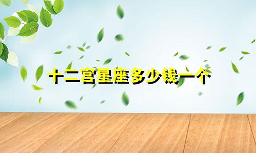 十二宫星座多少钱一个