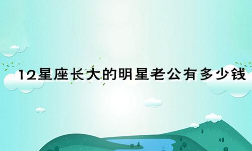 12星座长大的明星老公有多少钱