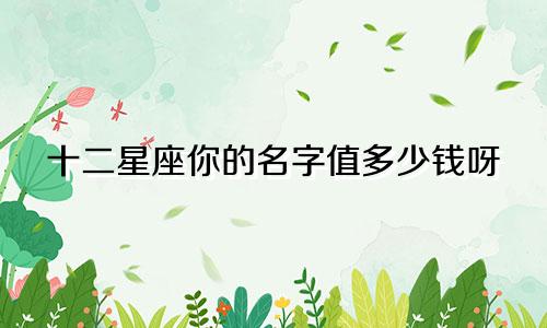十二星座你的名字值多少钱呀