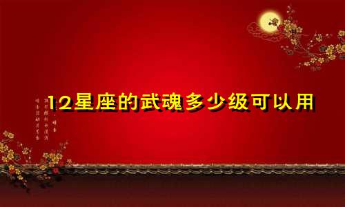 12星座的武魂多少级可以用