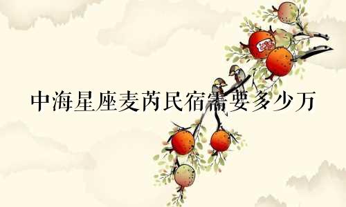 中海星座麦芮民宿需要多少万
