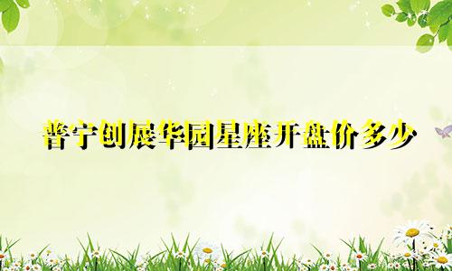 普宁创展华园星座开盘价多少