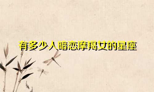 有多少人暗恋摩羯女的星座