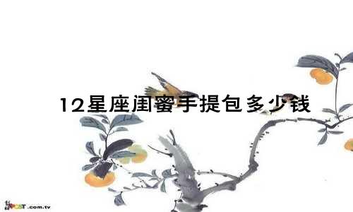 12星座闺蜜手提包多少钱