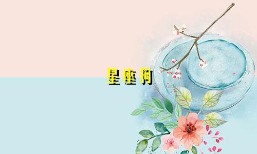 星座狗 手机壳多少钱一套